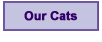 Our Cats Link